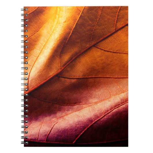 茶色の革の質感革、抽象的、古風、背景 ノートブック (正面)