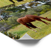 茶色の馬が縁ど同じイメージで放牧し ポスター (角)