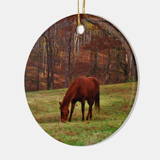 茶色の馬と森の端の白い鼻 セラミックオーナメント (左)