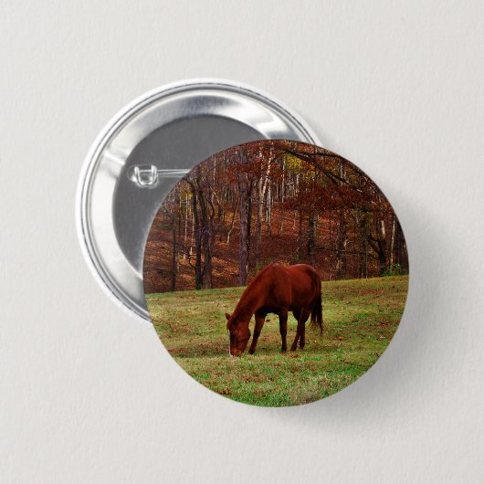 茶色の馬と森の端の白い鼻 缶バッジ (正面&裏面)