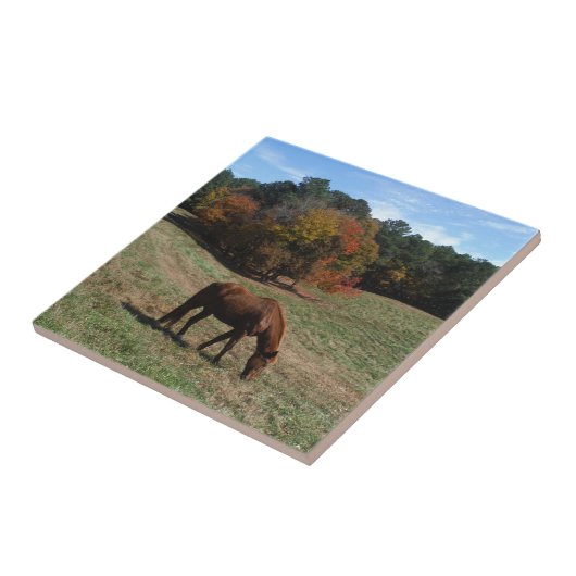 茶色の馬と秋の木 タイル (側面)