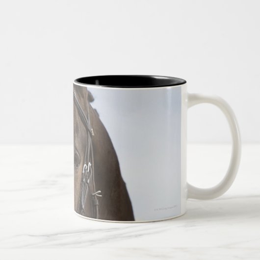 茶色の馬のポートレート ツートーンマグカップ (右)