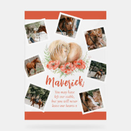 茶色の馬のメモリアルポピーの水彩写真 アクリルサイン