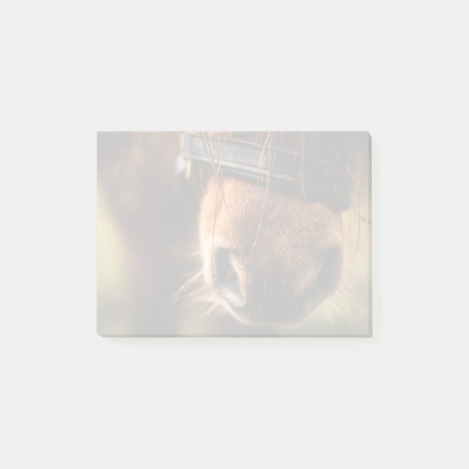 茶色の馬の鼻の写真かわいい素朴 ポストイット (正面)