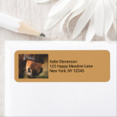 茶色の馬の鼻の写真かわいい素朴 ラベル (インサイチュ)