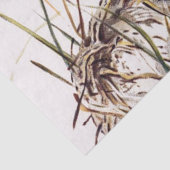 茶色の鳥と巣の切り離しセットWren 2 of 4 薄葉紙 (詳細)