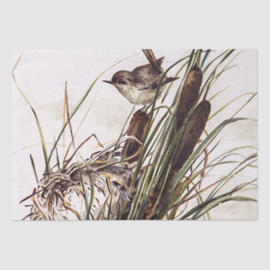 茶色の鳥と巣の切り離しセットWren 2 of 4 薄葉紙 (正面)