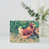 茶色のHenポストカード ポストカード (スタンド正面)