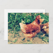 茶色のHenポストカード ポストカード (正面/裏面)