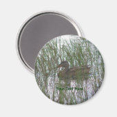 茶色アヒル自然撮影磁石 マグネット (正面/裏面)