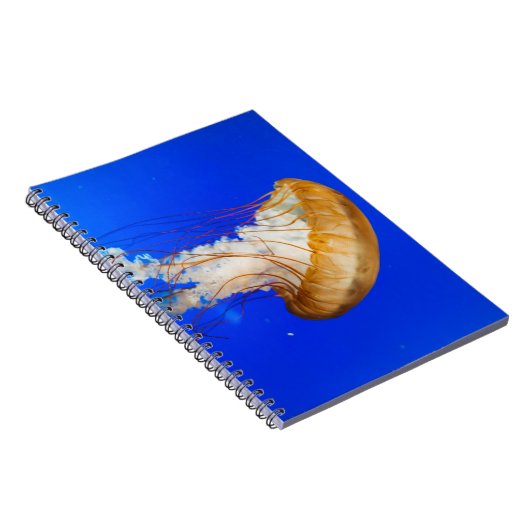 茶色クラゲ ノートブック (右側)