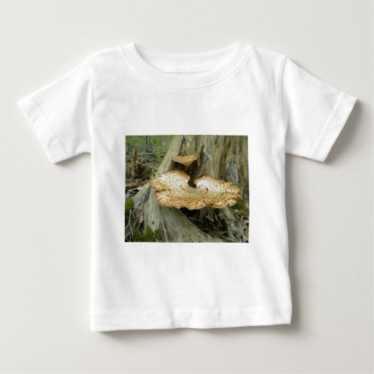 茶色ストライプのの棚菌調整品目 ベビーTシャツ (正面)