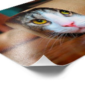 茶色包まれたの紙の猫 フォトプリント (角)