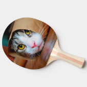 茶色包まれたの紙の猫 卓球ラケット (横)