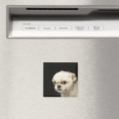 茶色怒の目を持つ白いシーズー(犬)チュ マグネット (インサイチュ (食洗機))