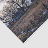 茶色擦り切れたの草原に灰色のバー 薄葉紙 (詳細)