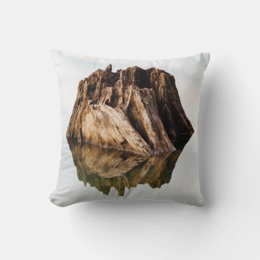 茶色木枠 クッション (正面)