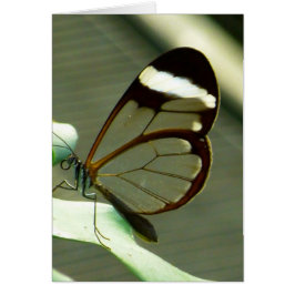 茶色素晴らしと半透明の蝶