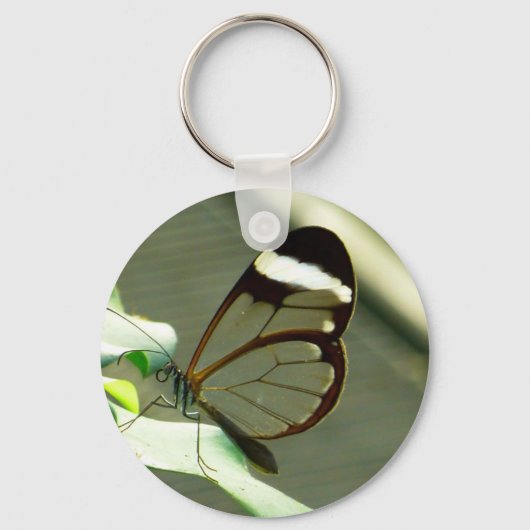 茶色素晴らしと半透明の蝶 キーホルダー (正面)