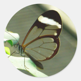茶色素晴らしと半透明の蝶 ラウンドシール
