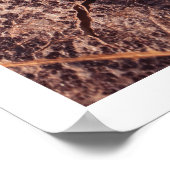 茶色素朴のクローズアップ葉秋フォトウォールアート ポスター (角)