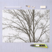 茶色素朴の木の枝 薄葉紙 (クラフト)