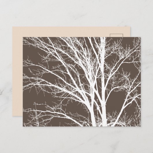 茶色素朴の白い木の枝 ポストカード (正面/裏面)