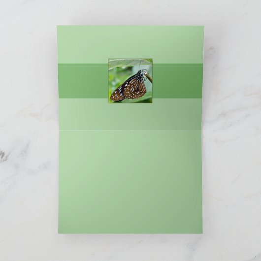 茶色絵を描蝶 カード (内部)