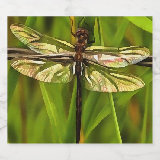 茶色芸術的と緑の黄色のトンボ ビールラベル (シングルラベル)