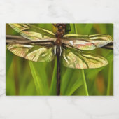 茶色芸術的と緑の黄色のトンボ フードラベル (シングルラベル)