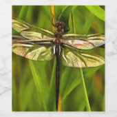 茶色芸術的と緑の黄色のトンボ ワインラベル (シングルラベル)