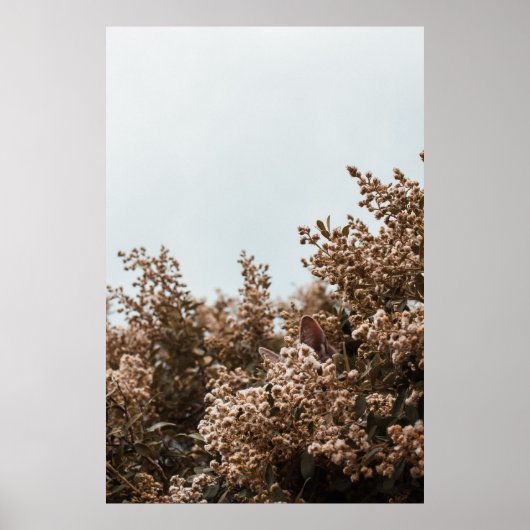 茶色葉の木に茶色の ポスター (正面)