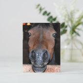 茶色間抜け頭 ポストカード (スタンド正面)