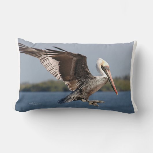 茶色飛んでいるのペリカンモジョ枕 ランバークッション (正面)