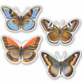 茶色、オレンジ、青の蝶 シール (正面)