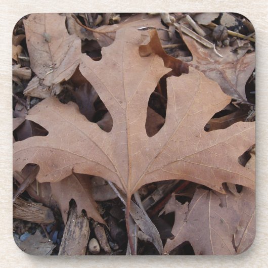 茶葉コースター。 コースター (正面)