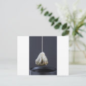 茶袋がカップに吊るされている ポストカード (スタンド正面)