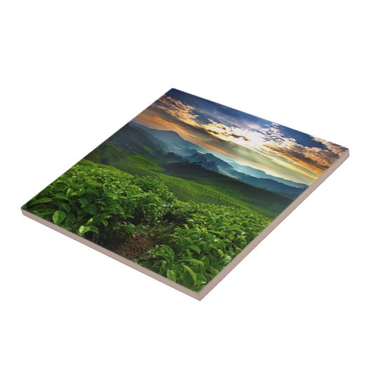 茶農場上の日の出 タイル (側面)