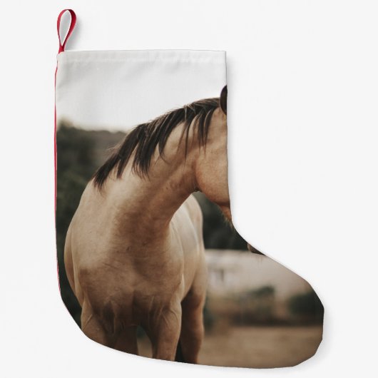 茶馬 スモールクリスマスストッキング (正面)
