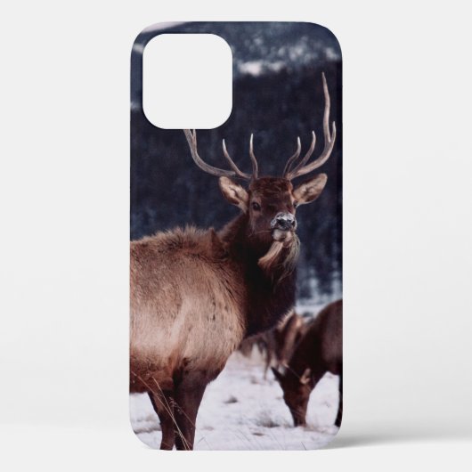 茶鹿の浅焦点写真 Case-Mate iPhoneケース (裏面)