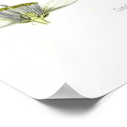 茶 ポスター (角)