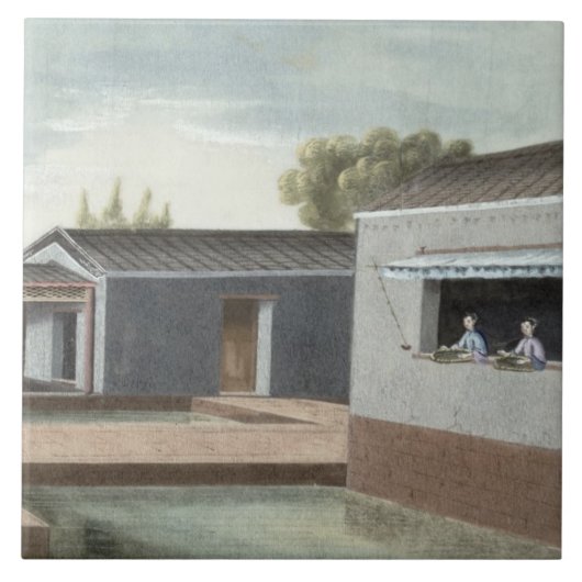 茶(w/c紙で) 2の分類 タイル (正面)