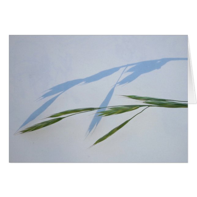 草および影 (正面横)