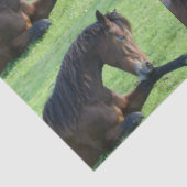 草かわいらしの中に横たわる茶色の馬パターン（の模様が）ある 薄葉紙 (詳細)