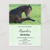 草かわいらしの中に産む茶色の馬招待状 ポストカード (正面)