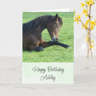 草かわいらしの中に産む茶色の馬誕生日 カード