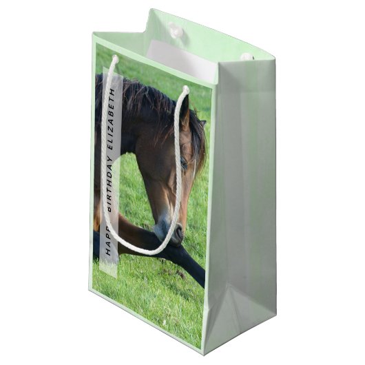 草かわいらしの中に産む茶色の馬誕生日 スモールペーパーバッグ (正面アングル)