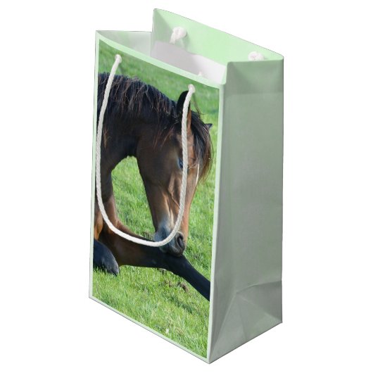 草かわいらしの中に産む茶色の馬誕生日 スモールペーパーバッグ (裏面アングル)