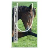 草かわいらしの中に産む茶色の馬誕生日 スモールペーパーバッグ (正面)