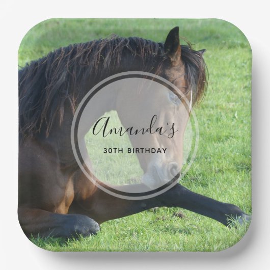 草かわいらしの中に産む茶色の馬誕生日 ペーパープレート (正面)